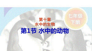 苏科版初中生物七年级下册-5101-水中的动物-课件.ppt