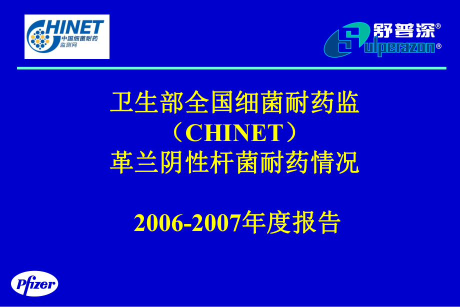 舒普深中重度感染经验首选课件.ppt_第2页