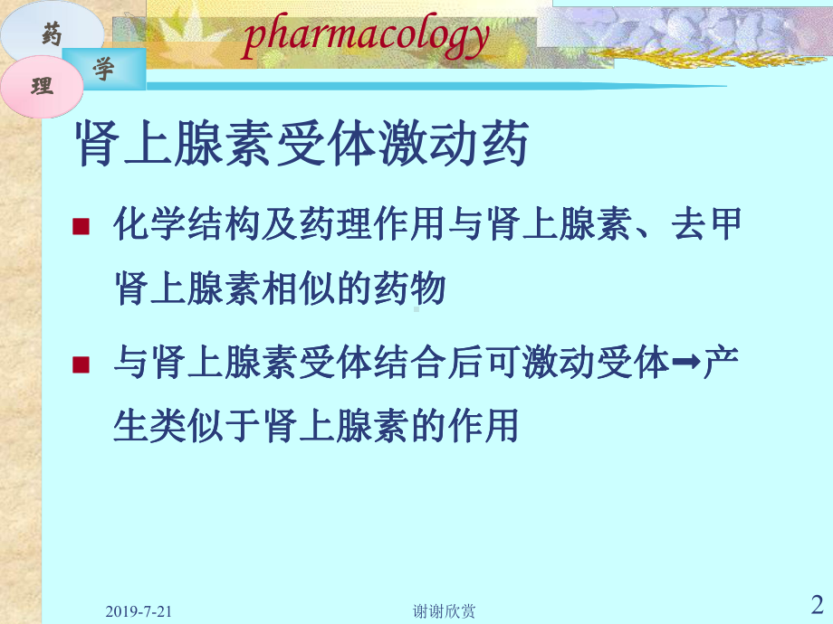 肾上腺素受体激动药解读课件.pptx_第2页