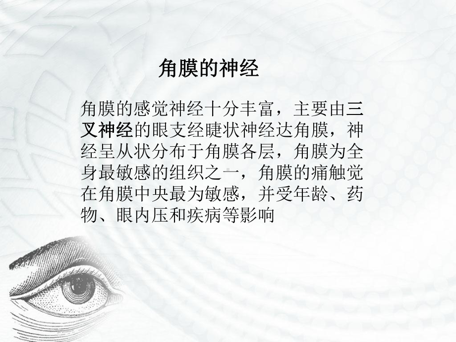 角膜病教案汇编课件.ppt_第3页