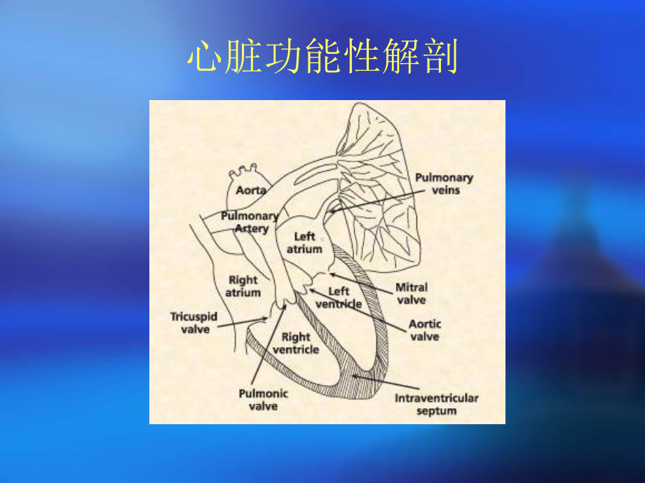 血流动力学监测的生理学概念上课讲义课件.ppt_第2页