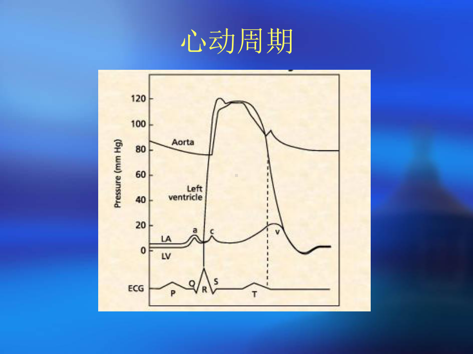 血流动力学监测的生理学概念上课讲义课件.ppt_第3页