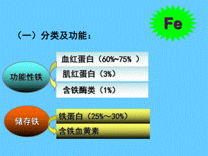 营养学-矿物质铁课件.ppt