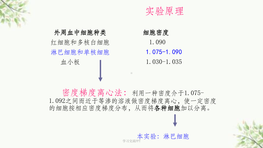 详细的淋巴细胞的分离、计数教程课件.ppt_第3页