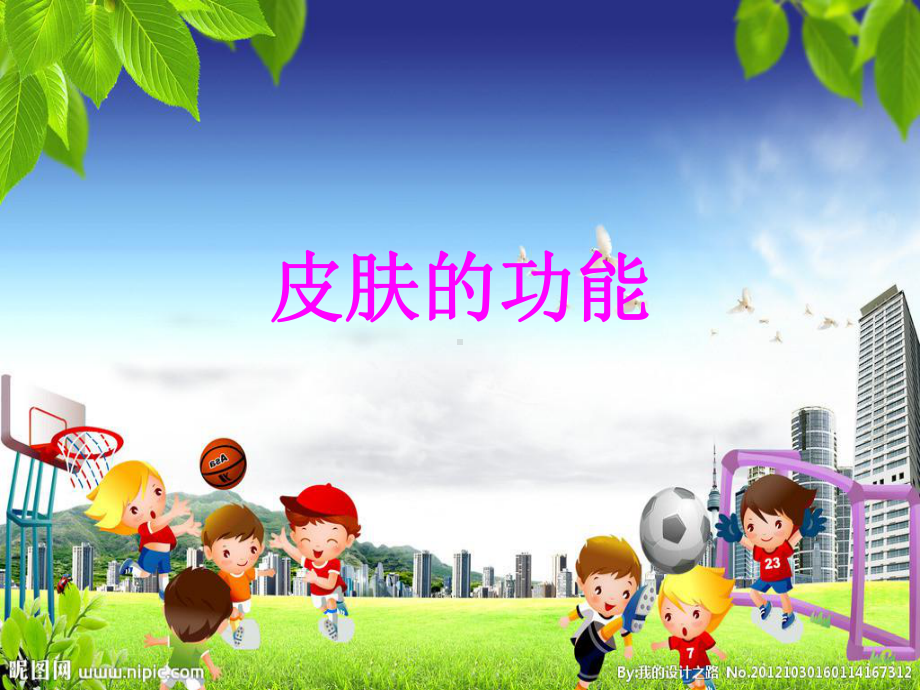 皮肤的功能要点课件.ppt_第1页