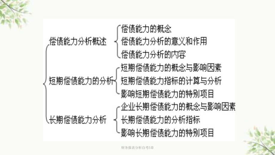 财务报表分析自考5章课件.ppt_第3页