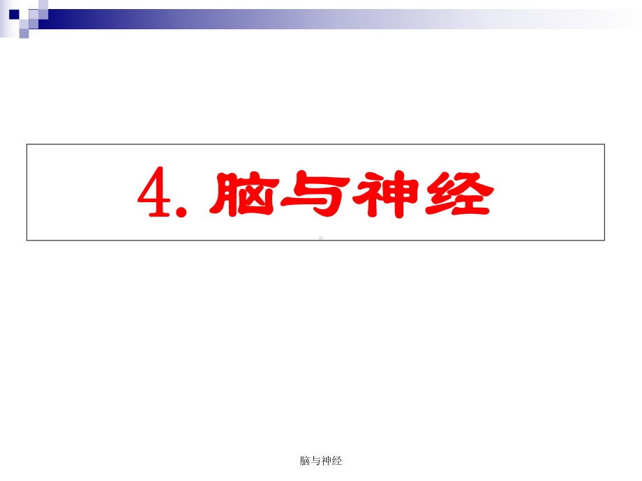 脑与神经课件.ppt_第1页