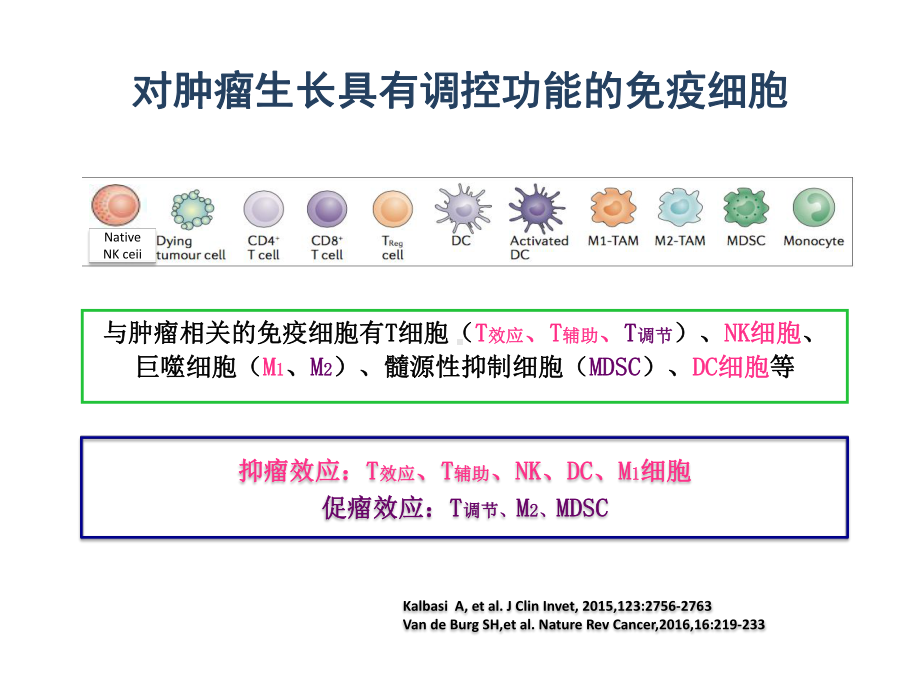 肿瘤免疫微环境与放射治疗课件.pptx_第3页