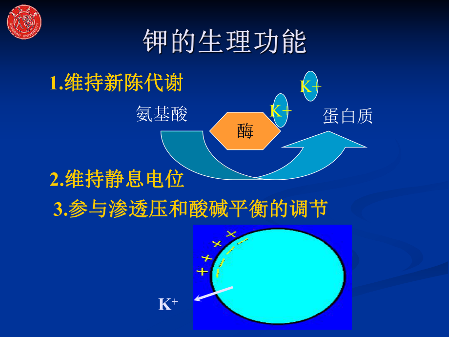 高钾血症及抢救课件.ppt_第2页