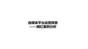 自媒体平台运营数据分析-网红案列课件.ppt