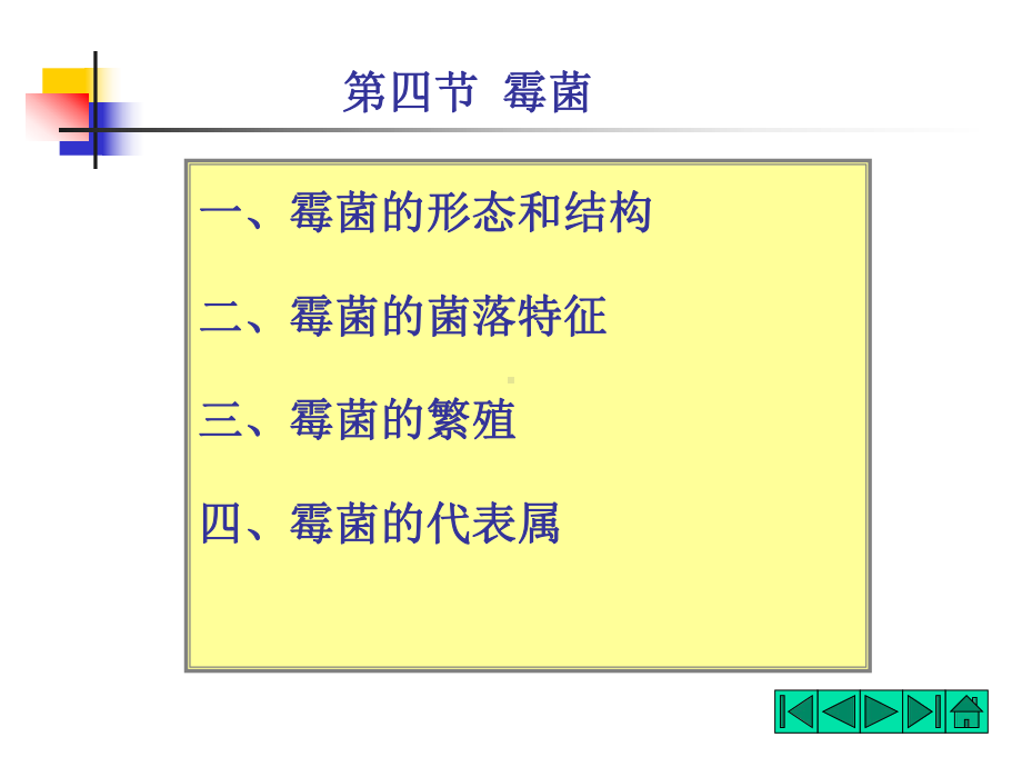 食品微生物学-霉菌课件.ppt_第1页