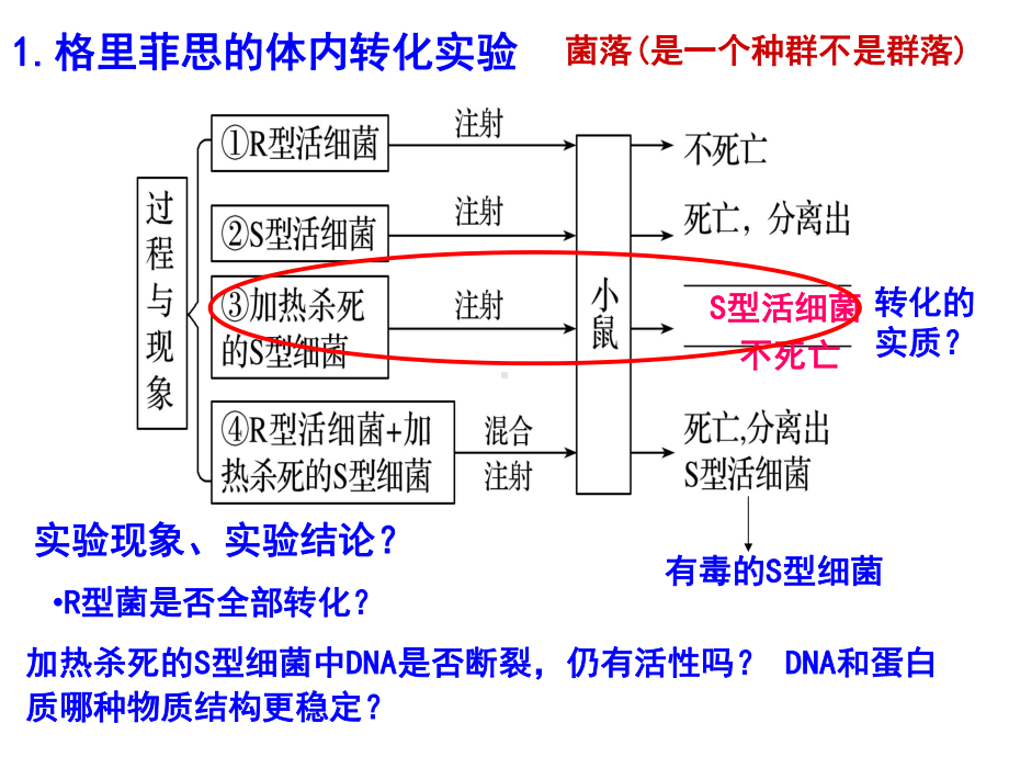 高考生物必修2人教版31DNA是主要的遗传物质课件.ppt_第3页