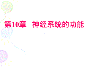 第10章神经系统课件.ppt