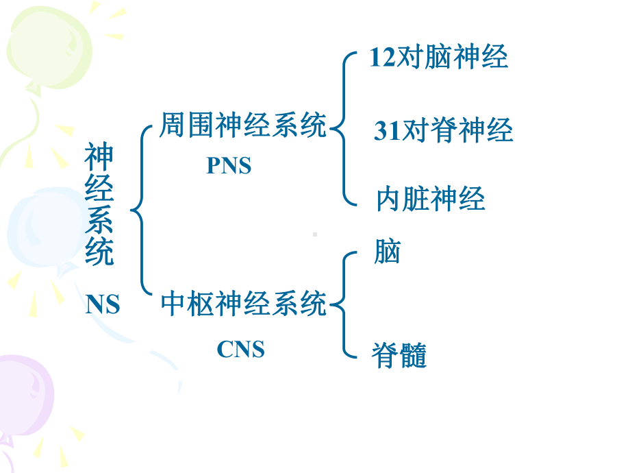 第10章神经系统课件.ppt_第3页