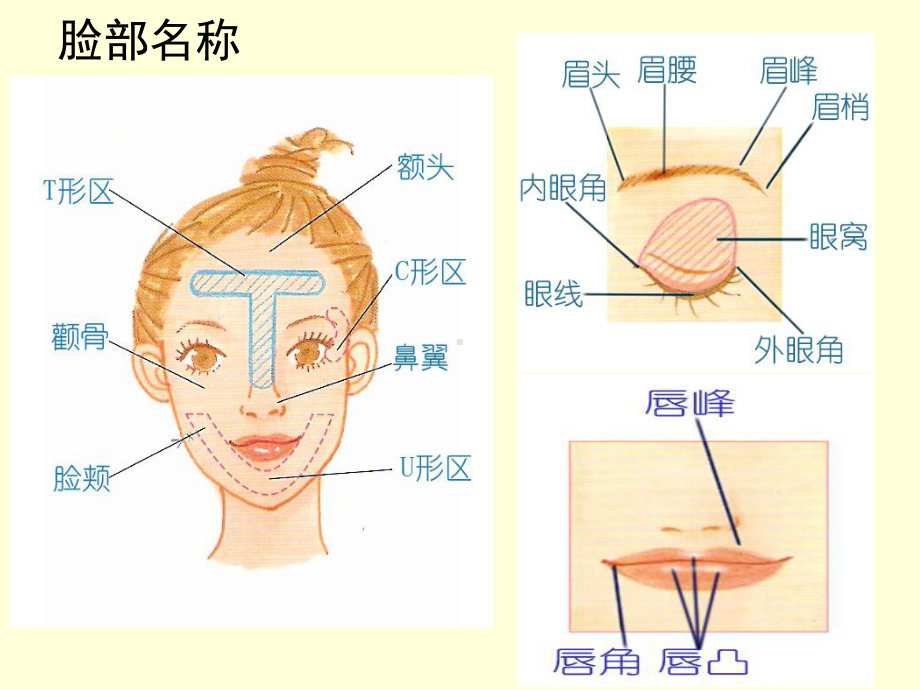 酒店女员工化妆知识培训课件.ppt_第2页