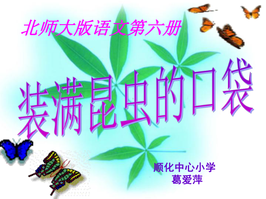 装满昆虫的口袋1课件.ppt_第1页