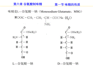 谷氨酸制味精方案.ppt