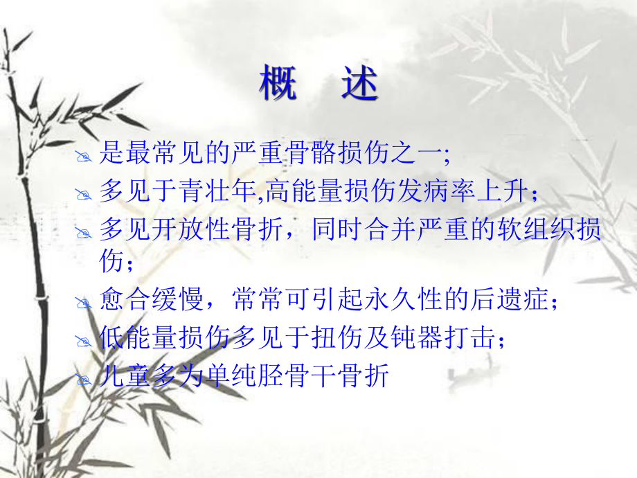 胫腓骨骨折诊疗课件.ppt_第2页