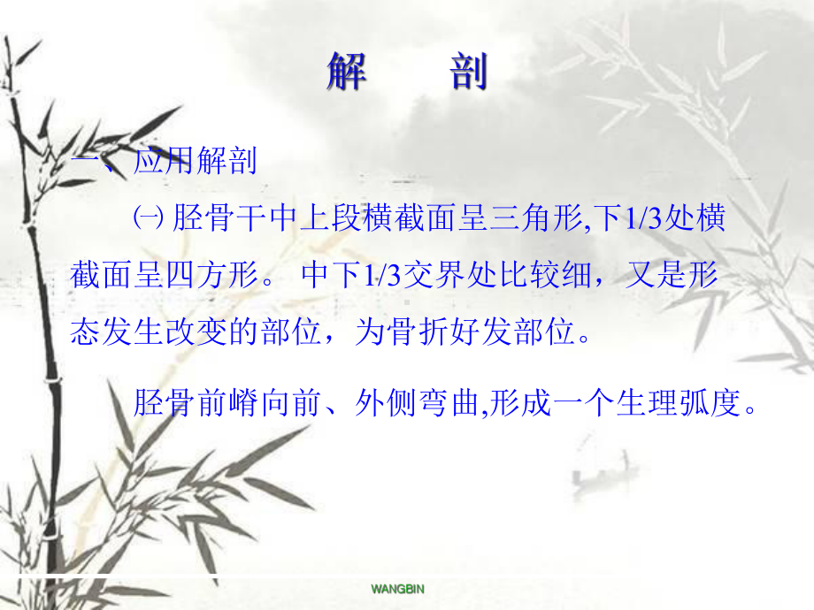 胫腓骨骨折诊疗课件.ppt_第3页