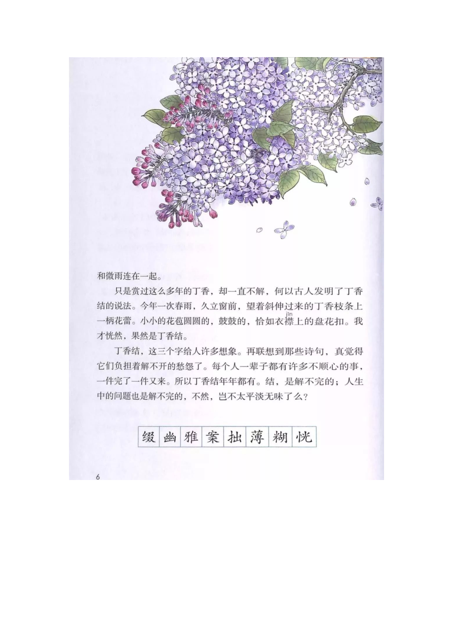 六年级上册语文素材 - 2《丁香结》 人教部编版.docx_第2页