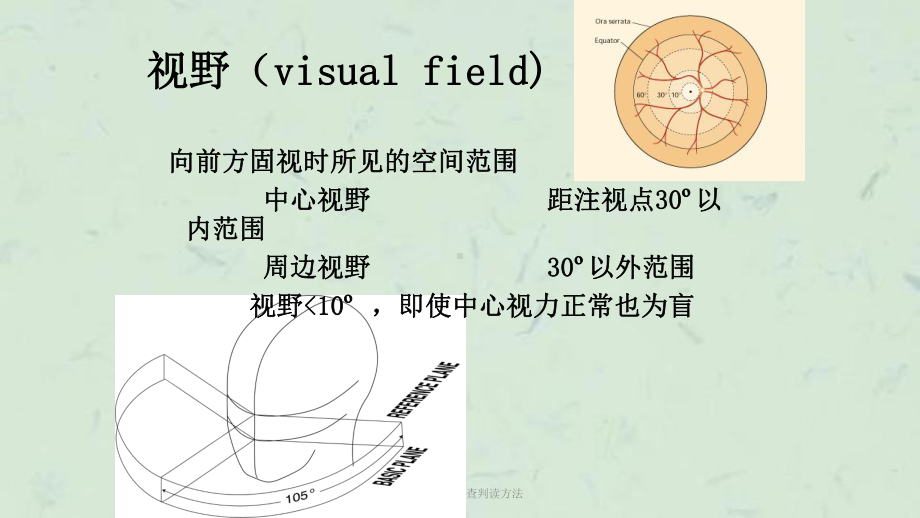 视野计及其检查判读方法课件.ppt_第2页