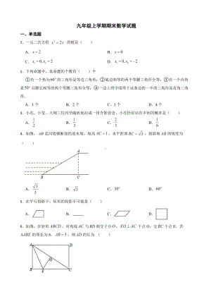 安徽省宿州市泗县2022年九年级上学期期末数学试题（附答案）.pdf