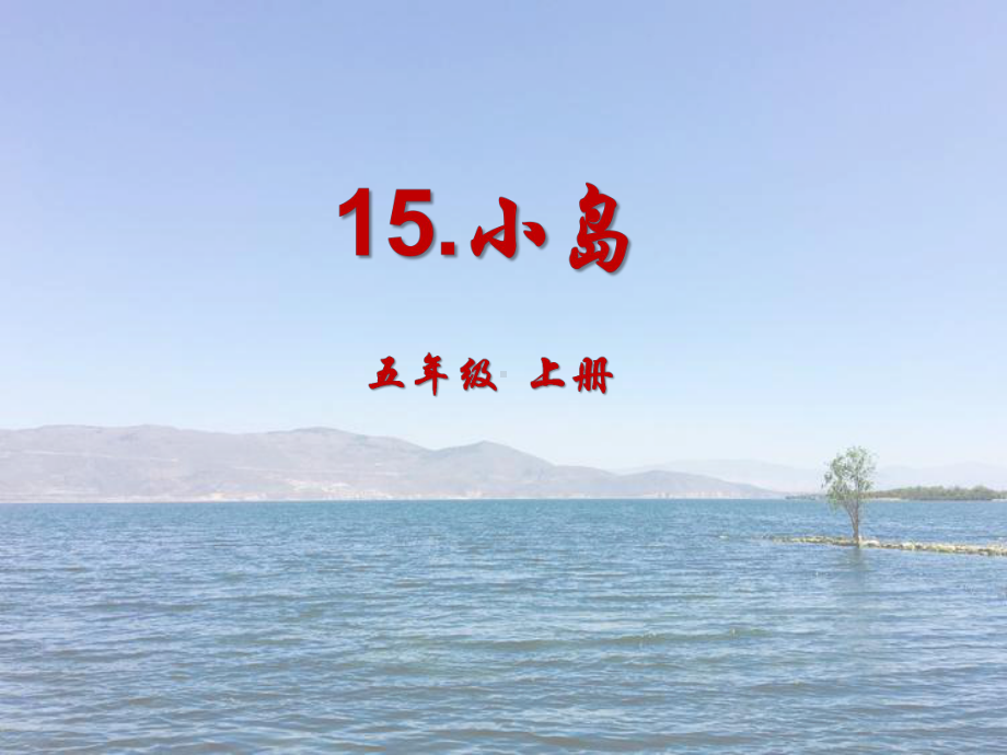 五年级上册语文课件-15.小岛 人教（部编版）(共28张PPT).pptx_第1页