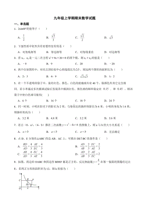 广东省梅州市平远县2022年九年级上学期期末数学试题（附答案）.pdf