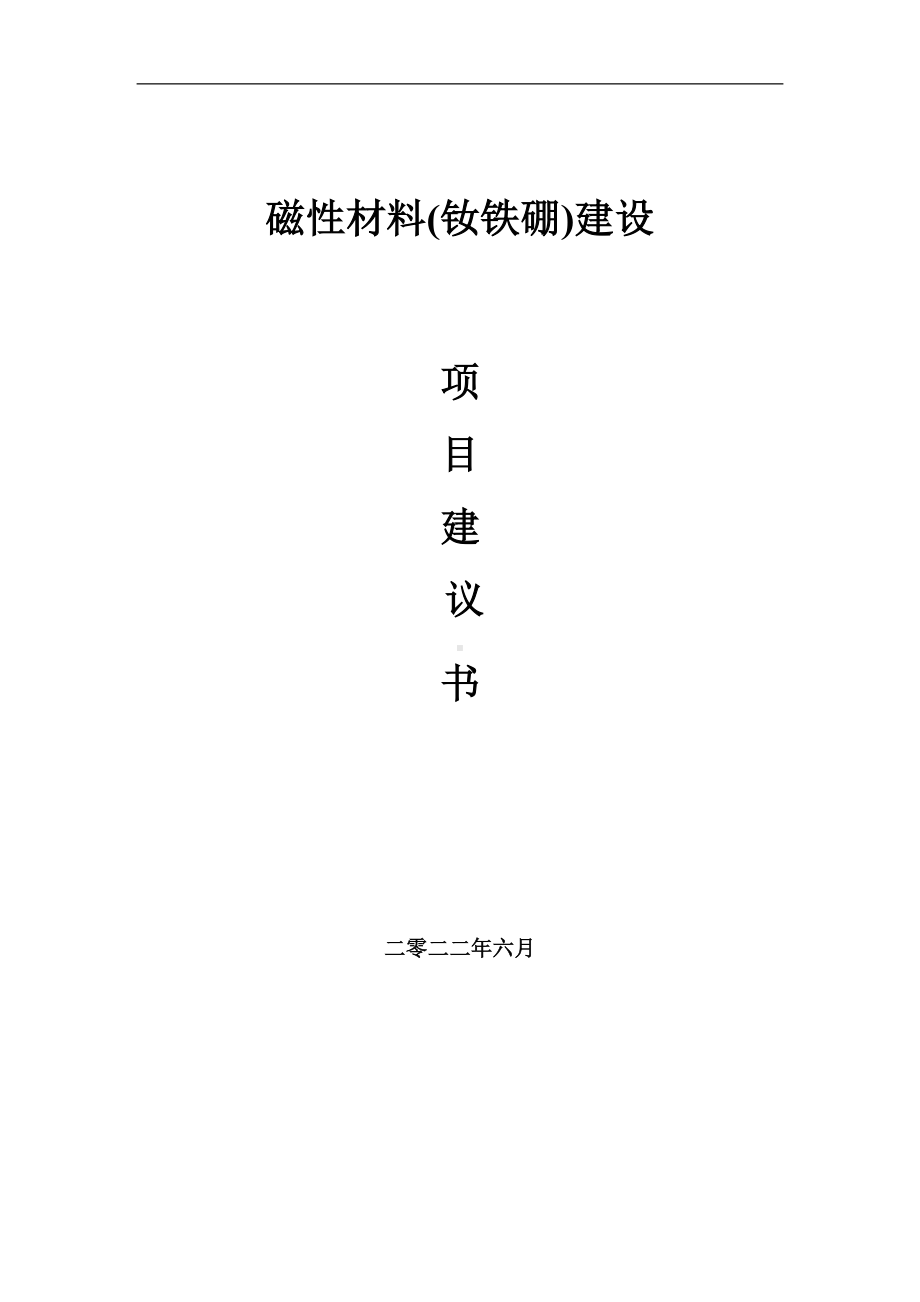 磁性材料(钕铁硼)项目建议书（写作模板）.doc_第1页