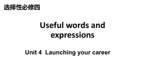 Unit 5 Launching your career Useful Words and Expressions（ppt课件）-2022新人教版（2019）《高中英语》选择性必修第四册.pptx