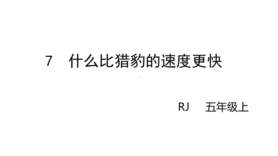 五年级上册语文课件-7什么比猎豹的速度更快-人教部编版(共26张PPT).pptx_第3页