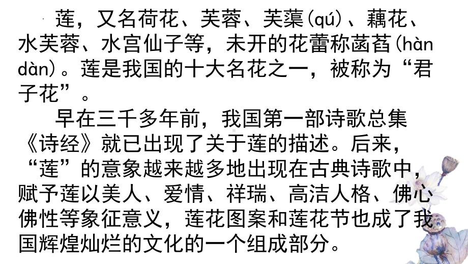 14.2《荷塘月色》ppt课件81张-统编版高中语文必修上册.pptx_第1页