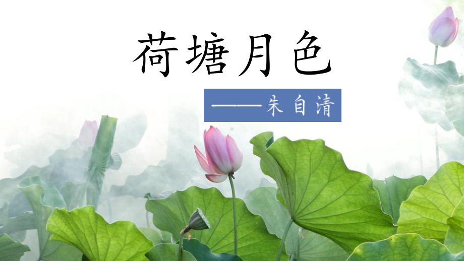 14.2《荷塘月色》ppt课件81张-统编版高中语文必修上册.pptx_第2页