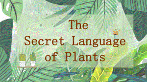 Unit5 Developing ideas The secret language of plants（ppt课件） -2022新外研版（2019）《高中英语》选择性必修第一册.pptx