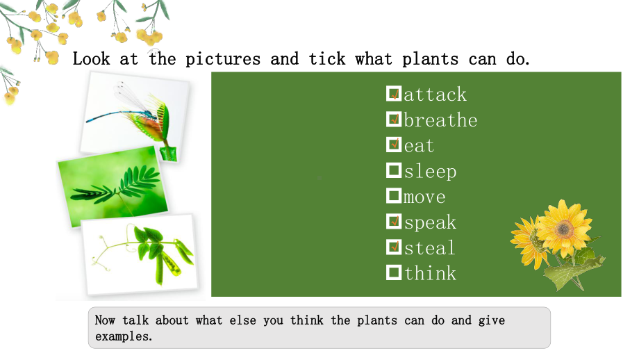 Unit5 Developing ideas The secret language of plants（ppt课件） -2022新外研版（2019）《高中英语》选择性必修第一册.pptx_第2页