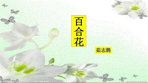 3.1《百合花》ppt课件29张-统编版高中语文必修上册.pptx