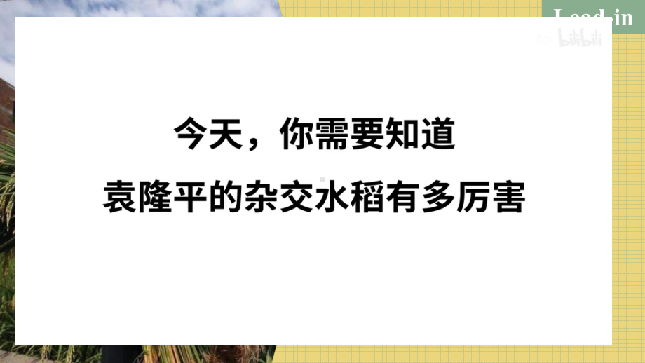 Unit 5 Reading and thinking（ppt课件）-2022新人教版（2019）《高中英语》选择性必修第一册.pptx_第2页