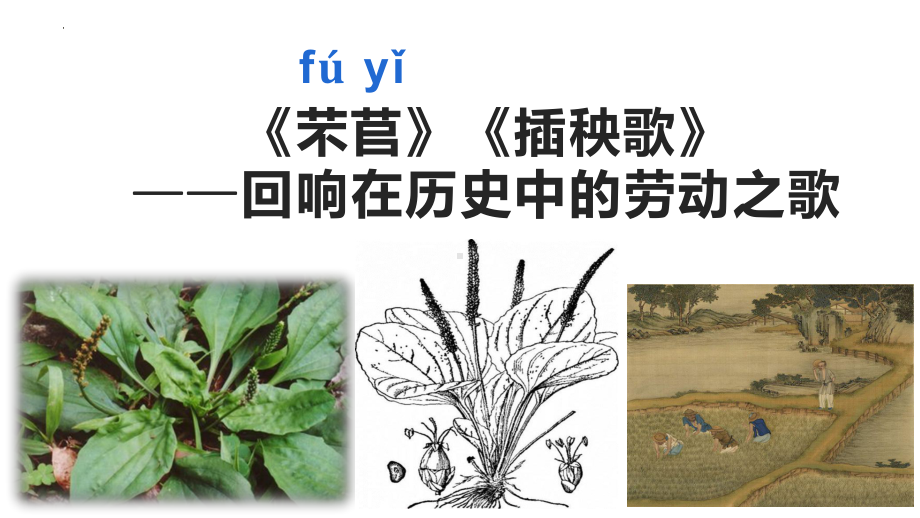 6《芣苢》《插秧歌》ppt课件24张-统编版高中语文必修上册.pptx_第1页