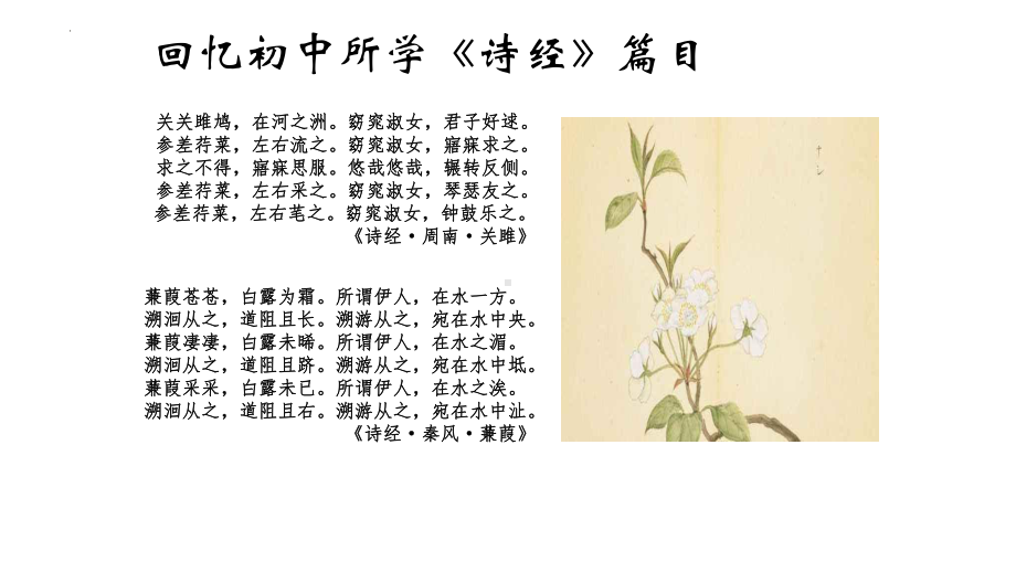 《芣苢》ppt课件25张-统编版高中语文必修上册.pptx_第2页