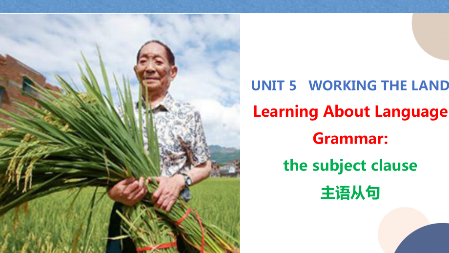 Unit 5 Learning about language（ppt课件） (2)-2022新人教版（2019）《高中英语》选择性必修第一册.pptx_第1页