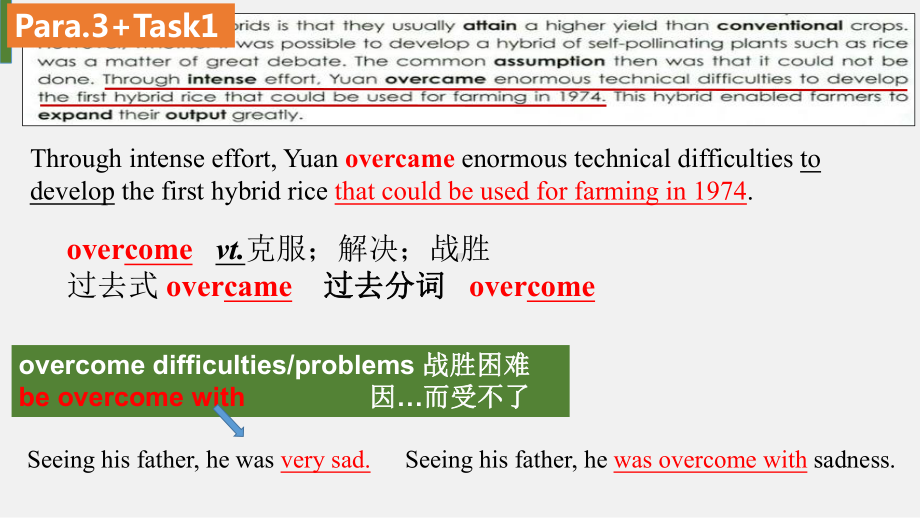 Unit 5 Language points2 课文详解（ppt课件）-2022新人教版（2019）《高中英语》选择性必修第一册.pptx_第2页