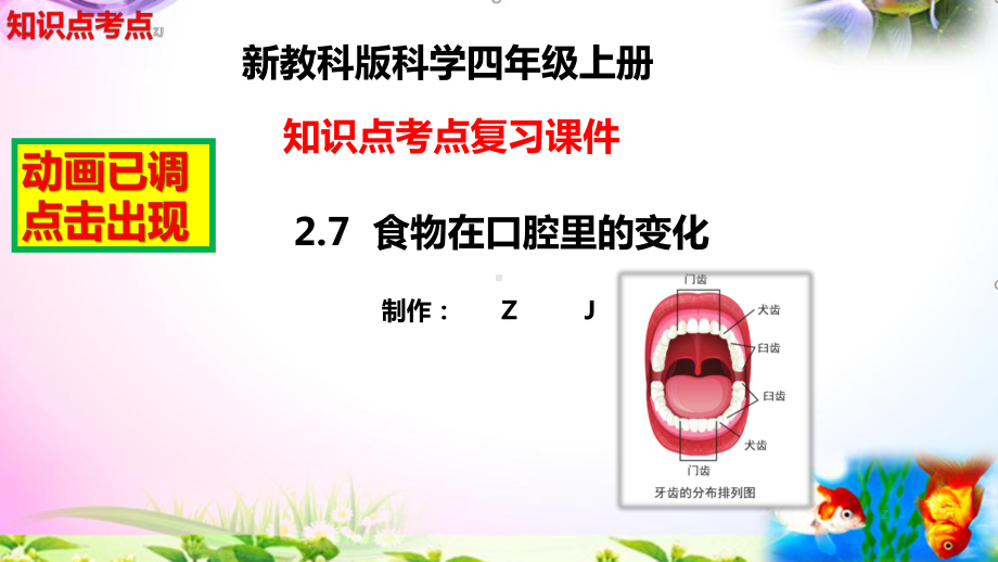 教科版科学四年级上册2.7食物在口腔里的变化-知识点复习课件+实验+典型试题(动画已调).pptx_第2页