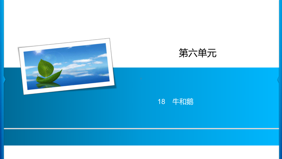 四年级上册语文习题课件-第6单元 18　牛和鹅 人教部编版(共8张PPT).ppt_第1页