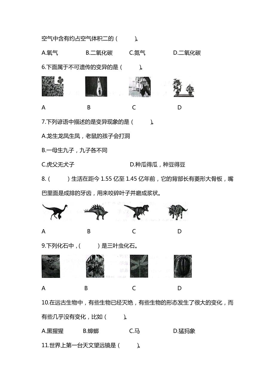 2022新苏教版六年级上册《科学》期末测试卷（二）（含答案）.docx_第3页