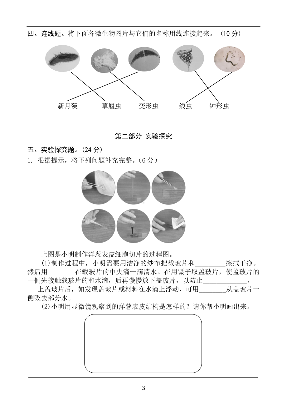 2022新教科版六年级上册《科学》第1单元《微小世界》质量检测题（含答案）.docx_第3页