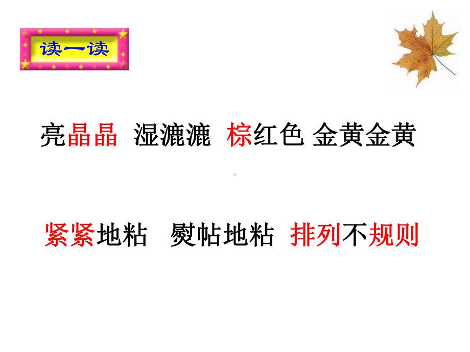 三年级上册语文课件-5铺满金色巴掌的水泥道 第一课时 人教（部编版）(共13张PPT).ppt_第3页