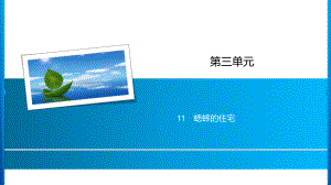 四年级上册语文习题课件-第3单元 11%E3%80%80蟋蟀的住宅 人教部编版(共15张PPT).ppt