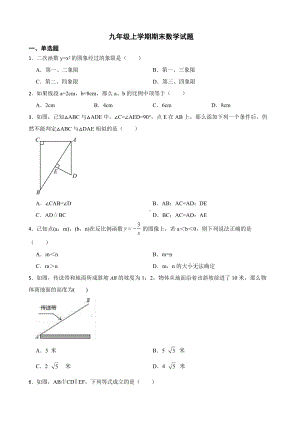 安徽省合肥市肥东县2022年九年级上学期期末数学试题（附答案）.docx