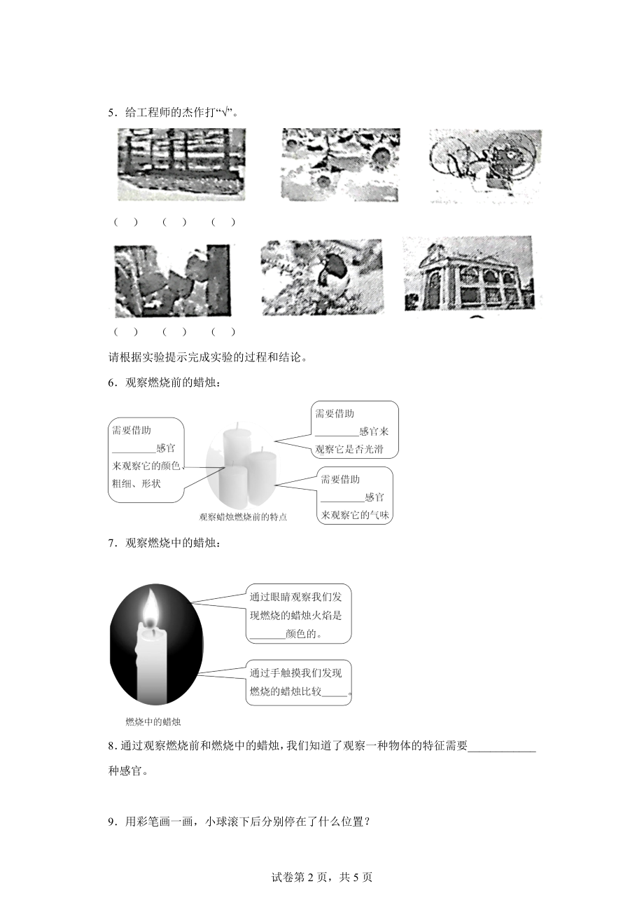 2022新苏教版三年级上册《科学》综合题 专项训练（含答案）.doc_第2页