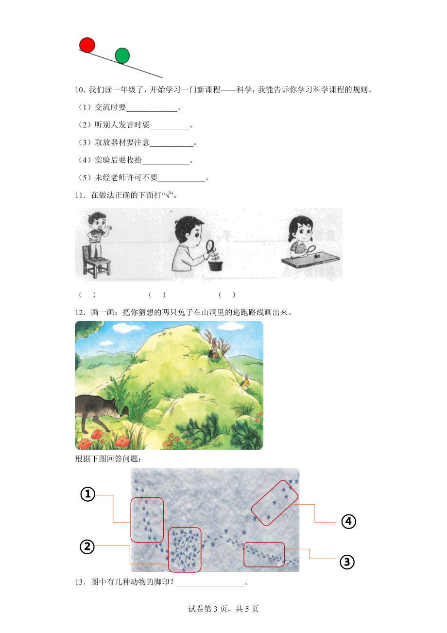 2022新苏教版三年级上册《科学》综合题 专项训练（含答案）.doc_第3页